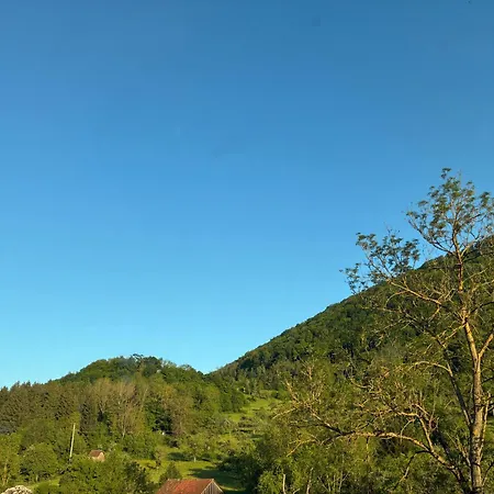 Vidi Felsen Blick Bad Überkingen