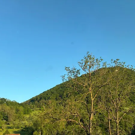 Vidi Felsen Blick *
